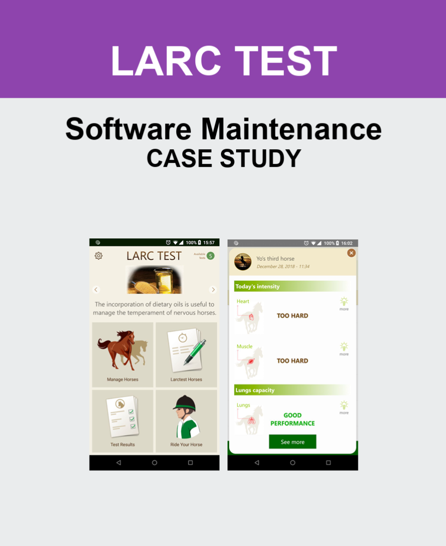 Software Maintenance