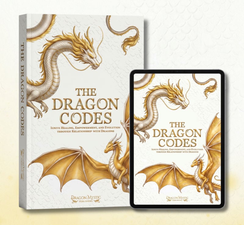 The Dragon Codes - Paperback & Ebook