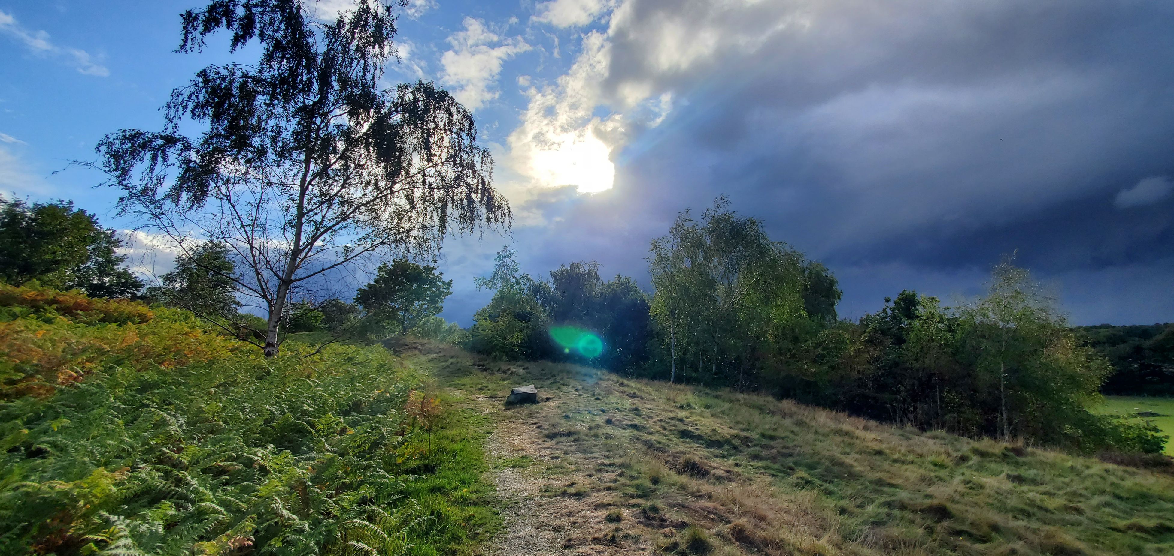The benefits of walk & talk therapy in nature with Mark O'Hanlon from Red Sage Holistic Therapies