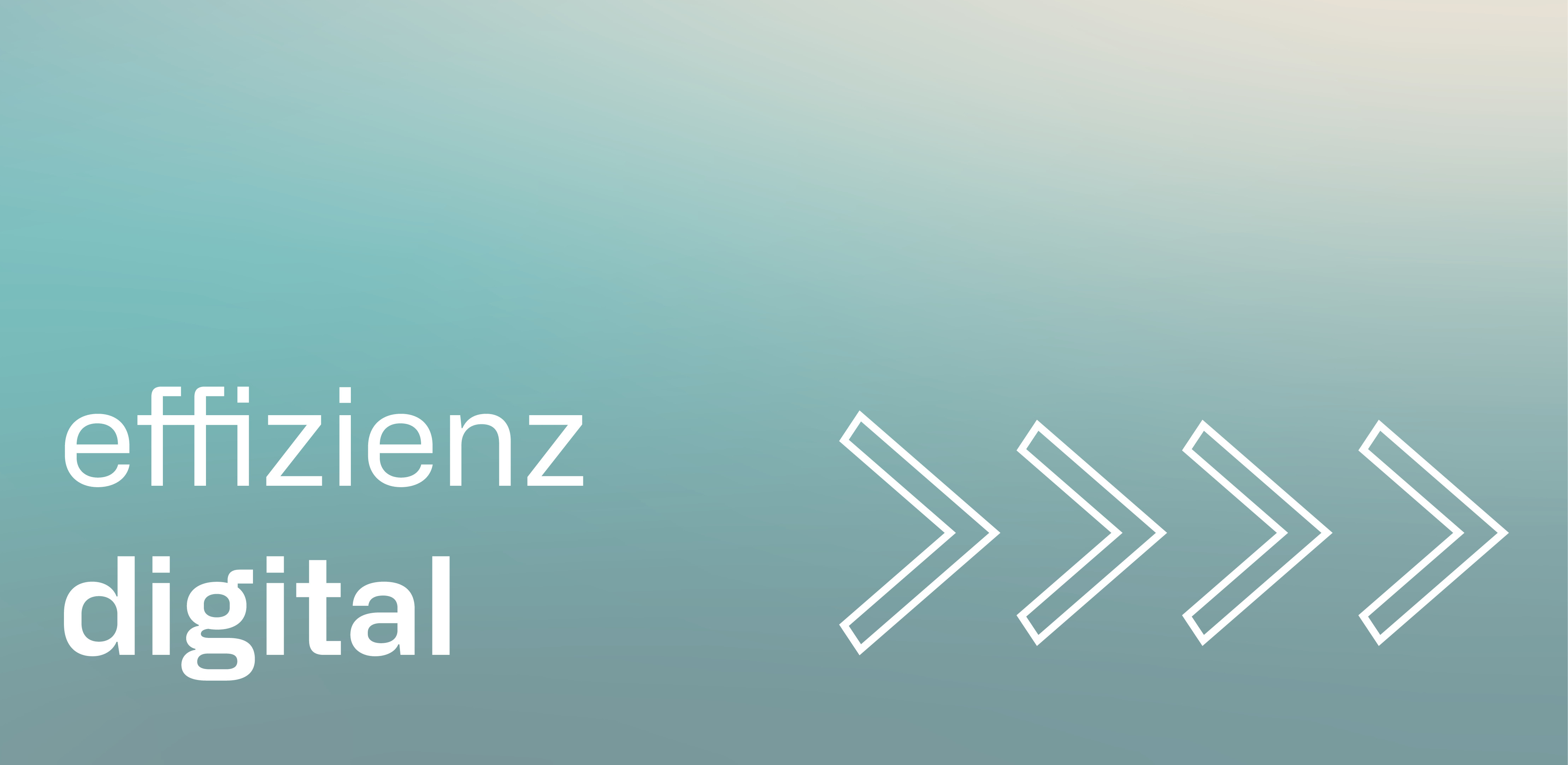 effizienz digital