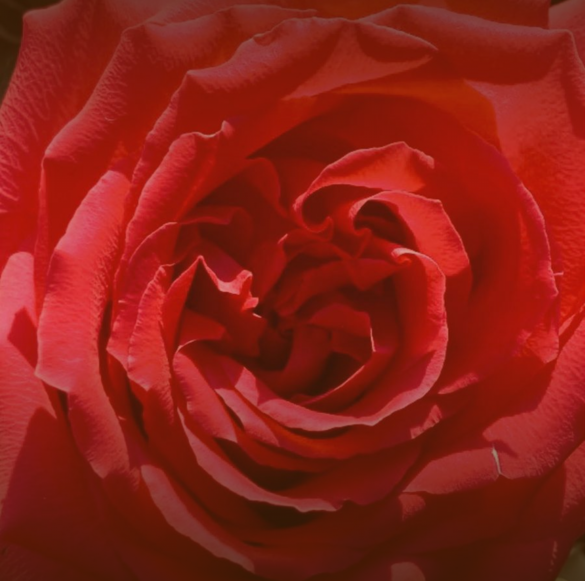 Alchemy & Wholeness