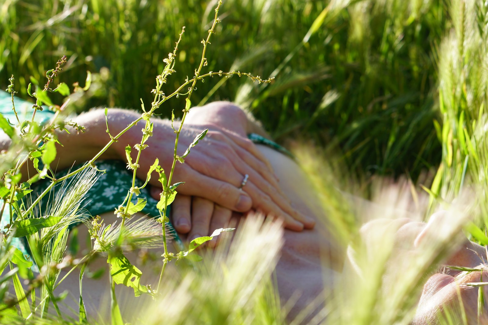 mains dans l herbe