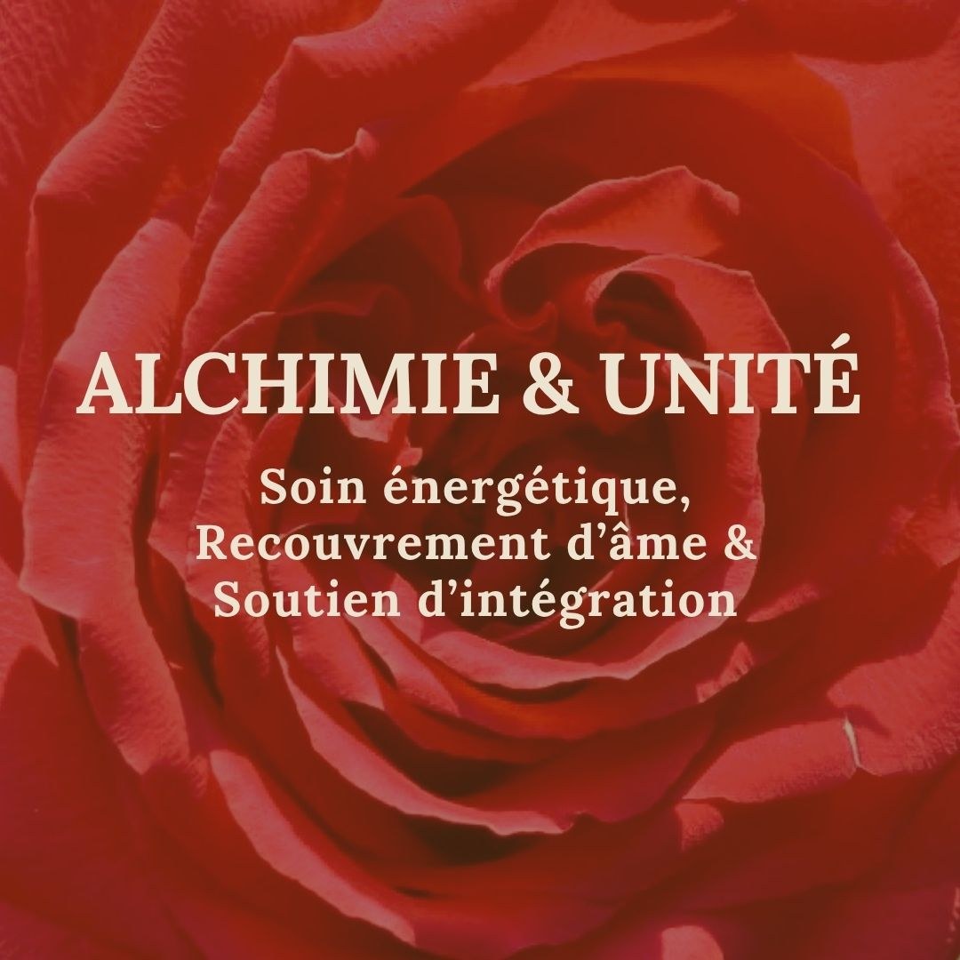 Vignette ALCHIMIE & UNITÉ : cœur d’une rose rouge.