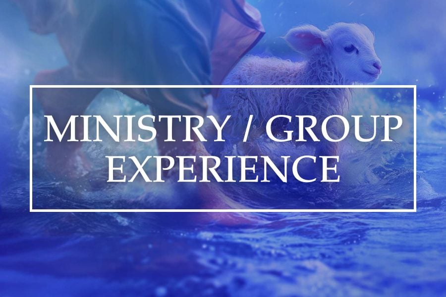 Ministry / Group Experience