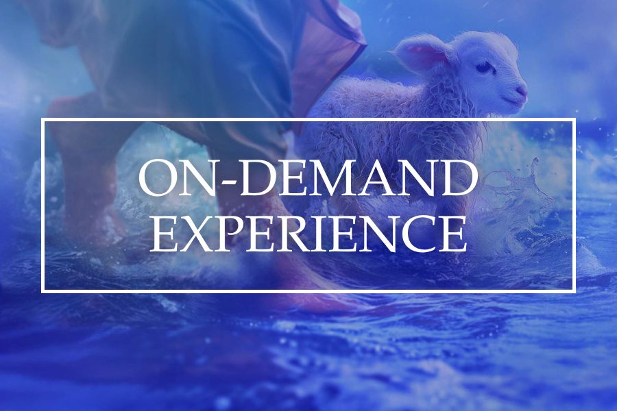 On-Demand Experience