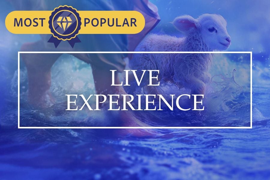 Live Experience: Most Popular