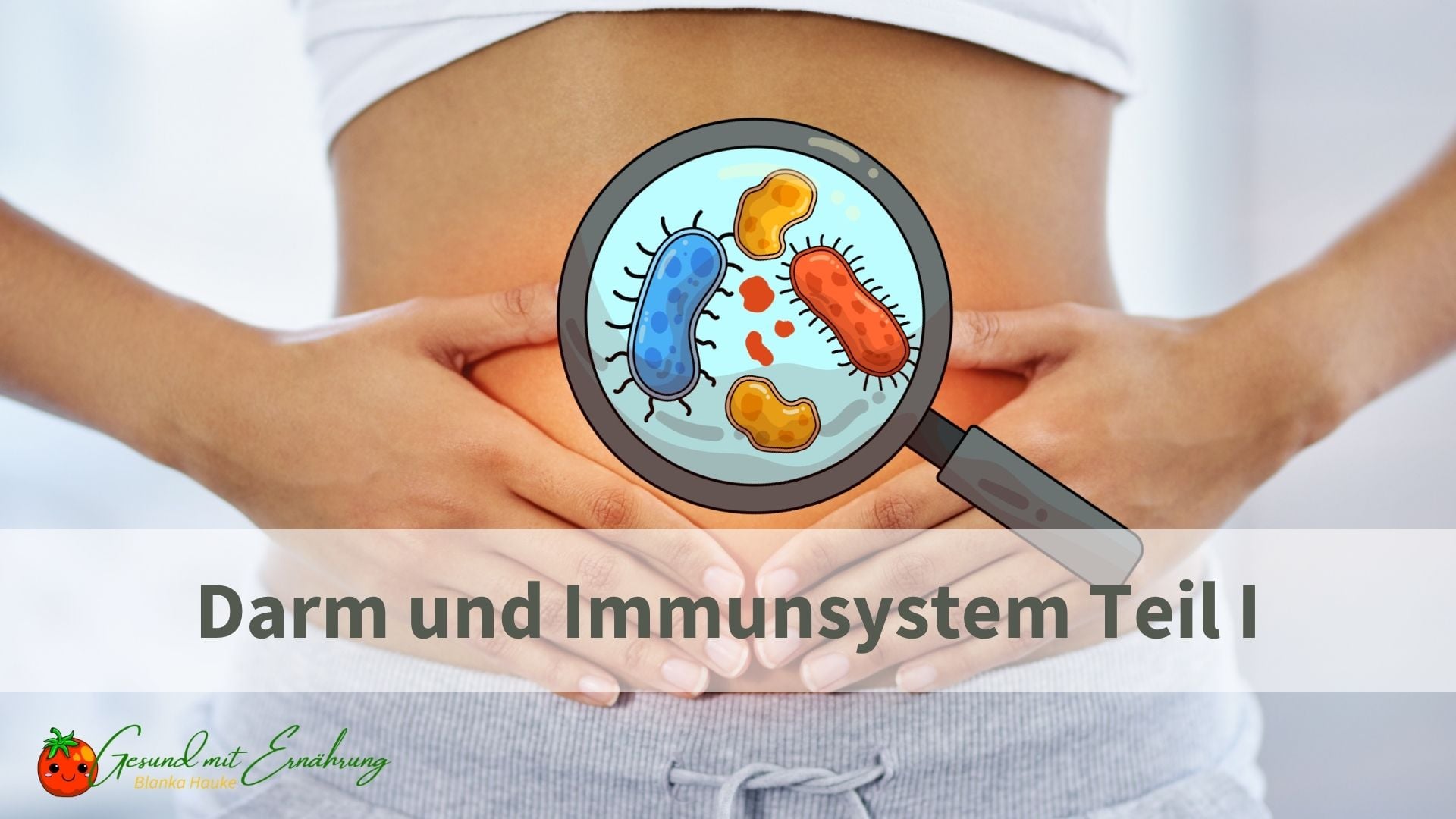 Darm und Immunsystem Teil I