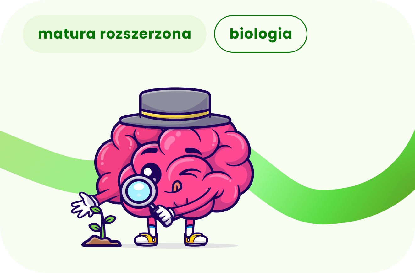 Kurs online przygotowanie do matury rozszerzonej z biologii, korepetycje szkoła średnia.