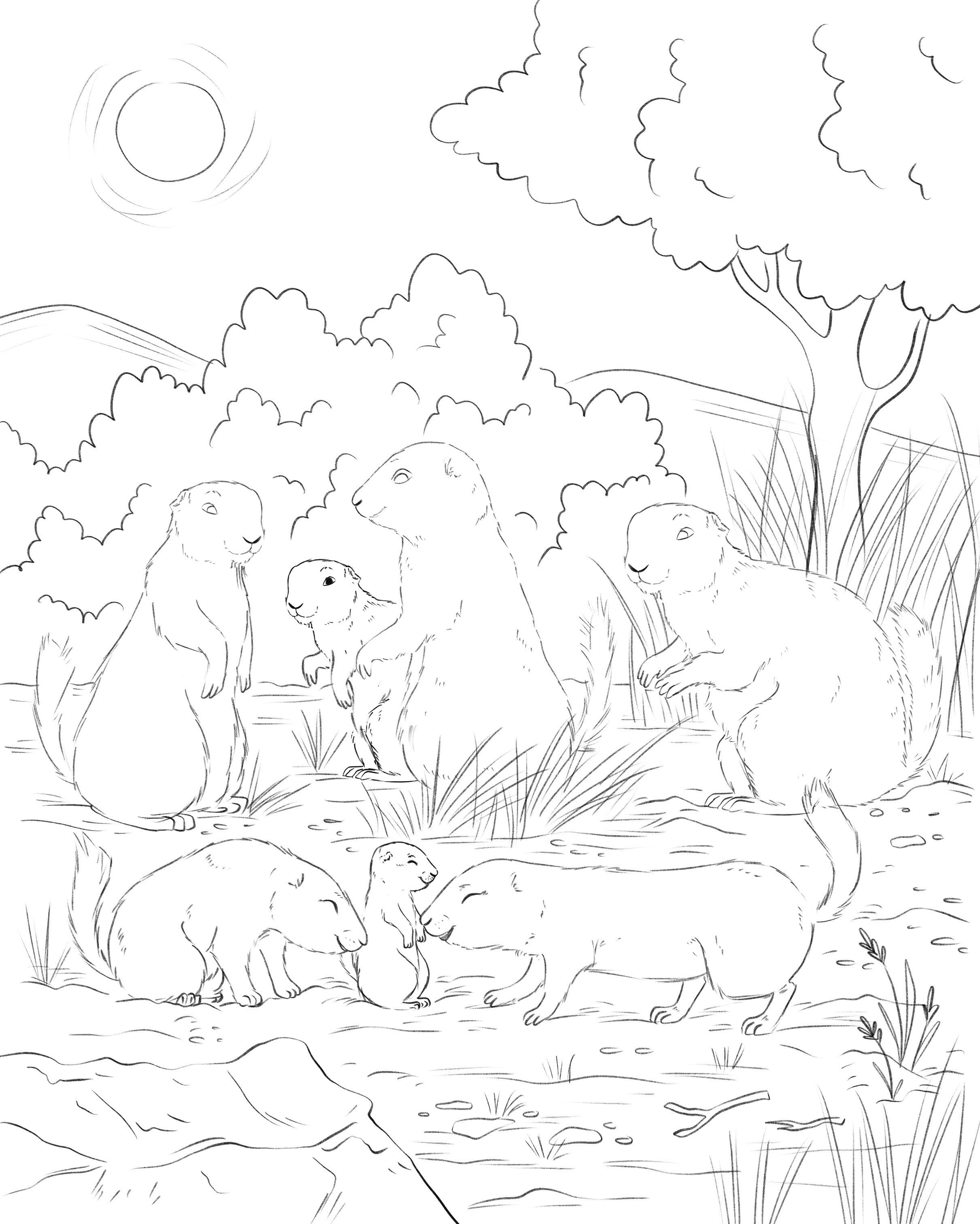 Prairie dog family