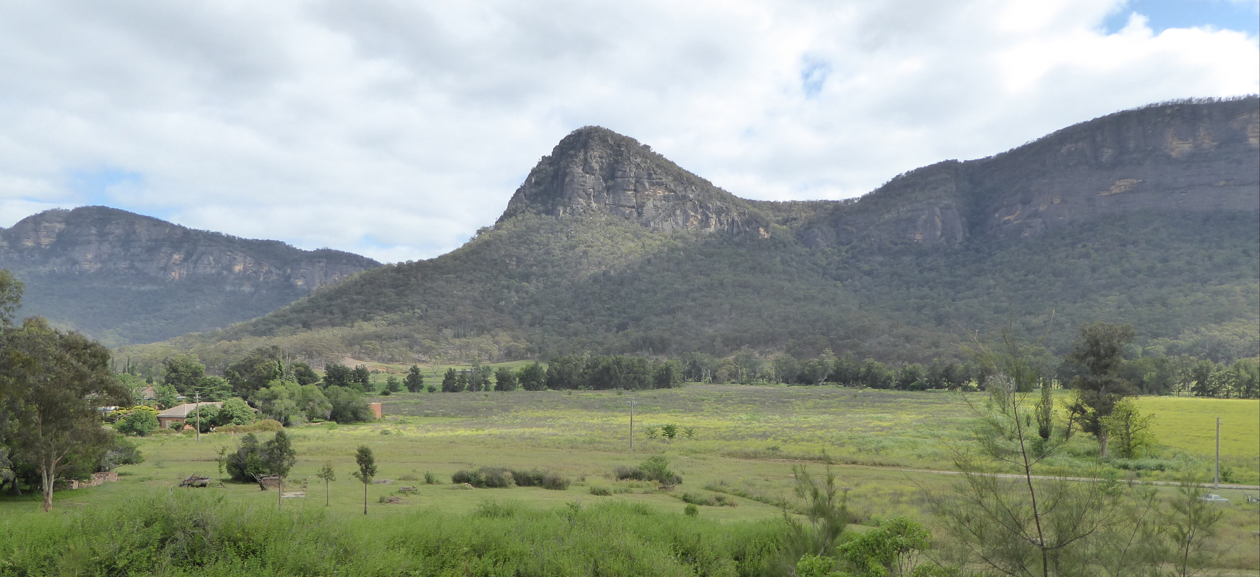 View showing Glen Davis Reserve and its riverside trees