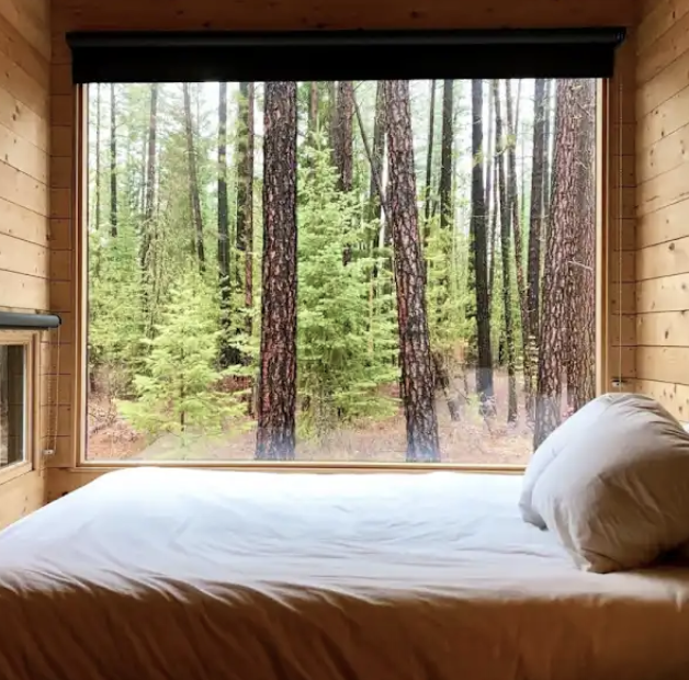 Tiny Cabins Window View