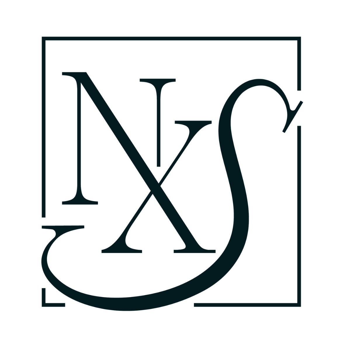 Nova X logo