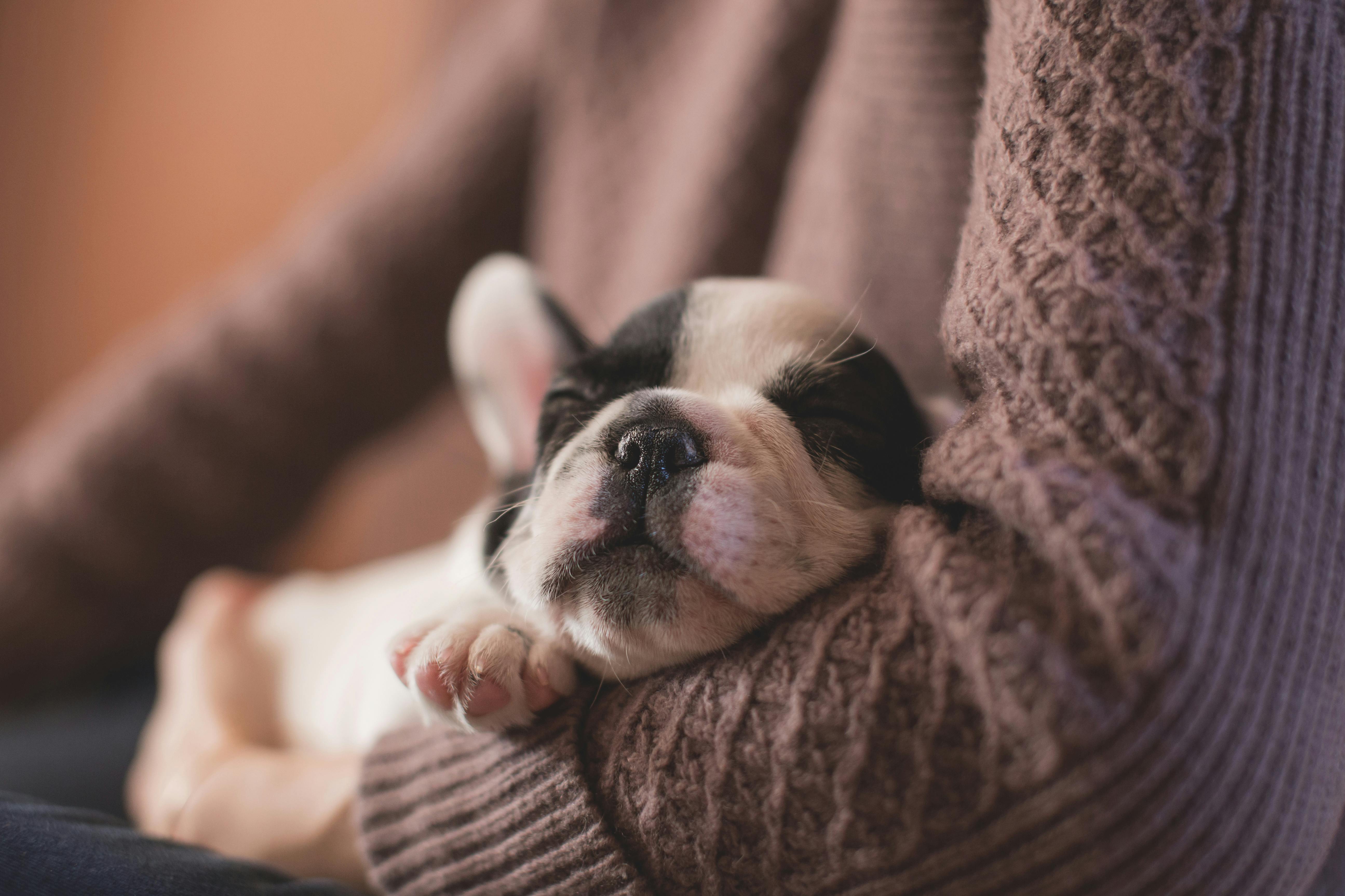 What is Sleepmaxxing?