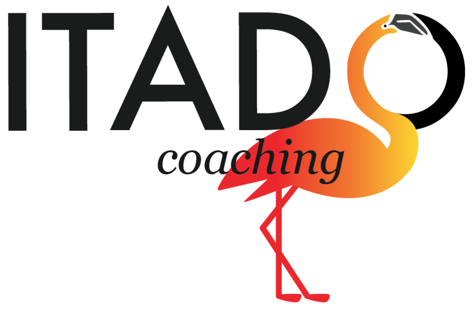 logo 1 itado coaching