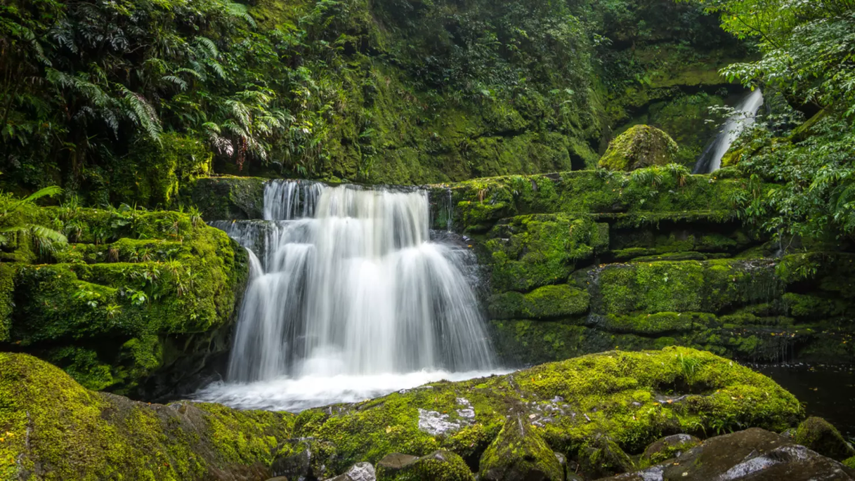 Kisatchie National Forest: 3 Day Getaway from New Orleans