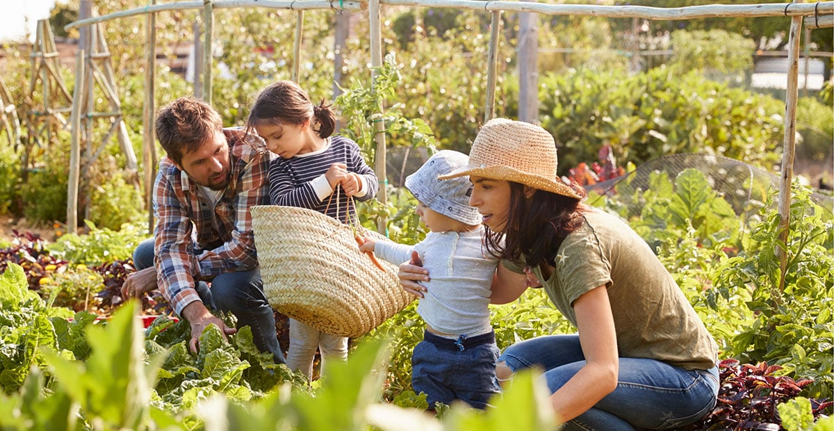 Família formada per mare, pare i dues filles petites a l'hort