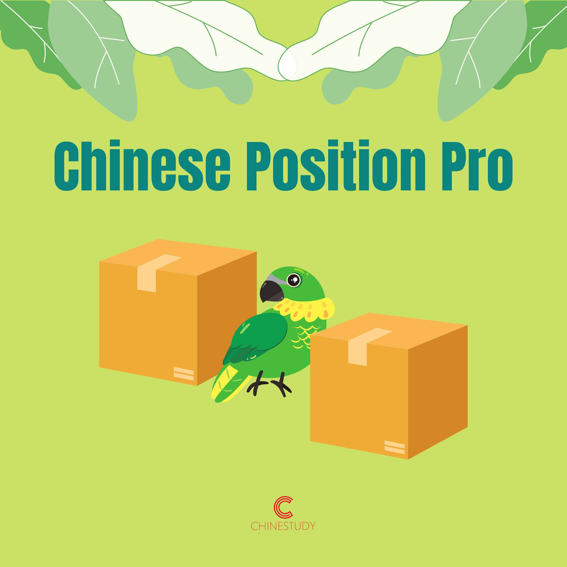 Chinese Position Pro