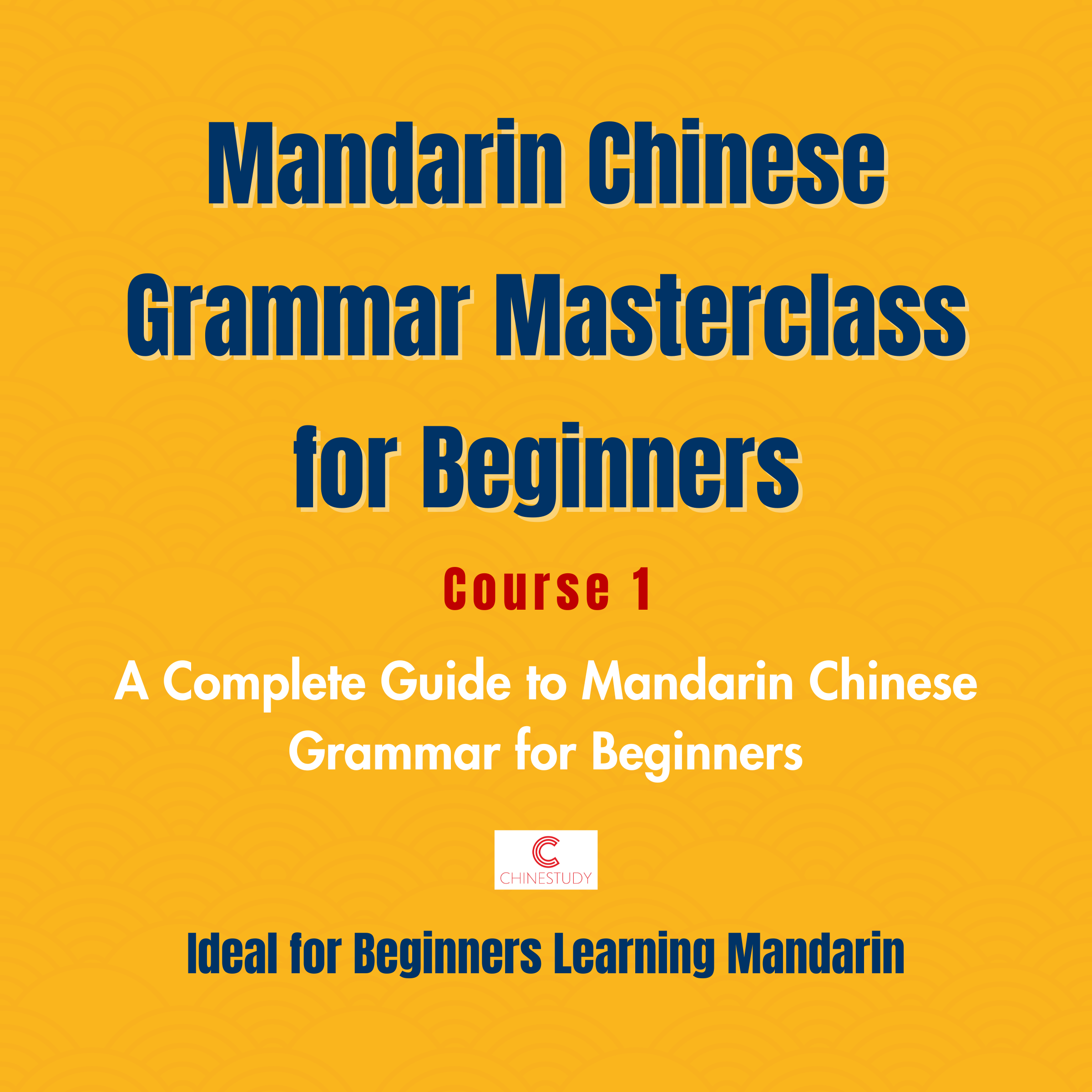 Mandarin Chinese Grammar Masterclass for Beginners: Course 1