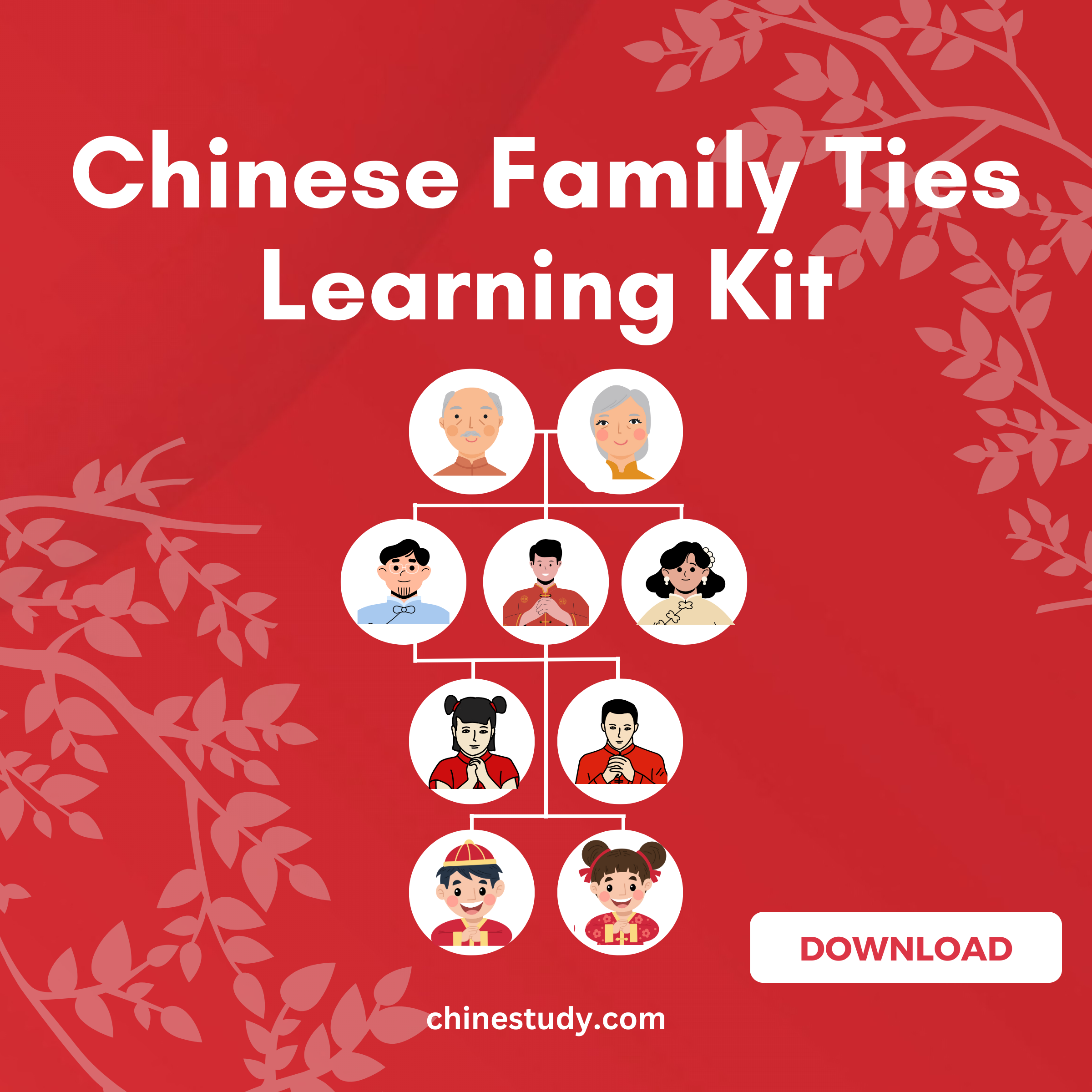 Chinese Family Ties Learning Kit