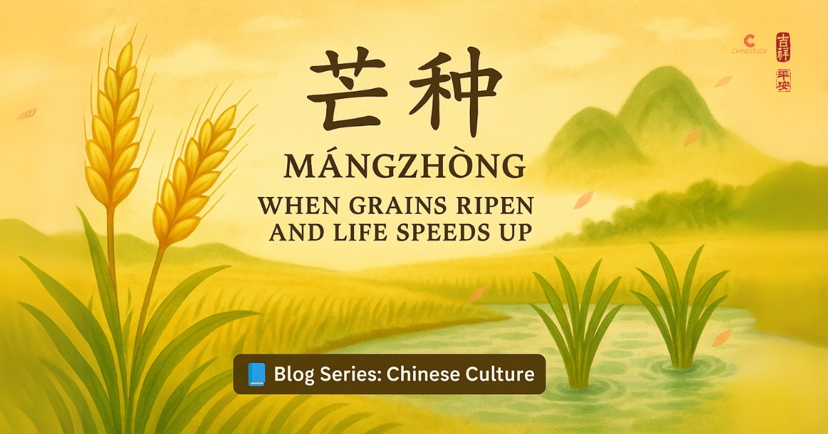 🌾 芒种 Mángzhòng – When Grains Ripen and Life Speeds Up