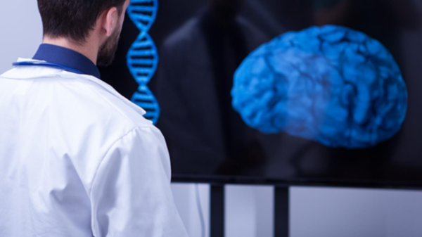 Agyi MRI-felvételekből jósolja meg az Alzheimer-kórt egy új mesterséges intelligencia-modell