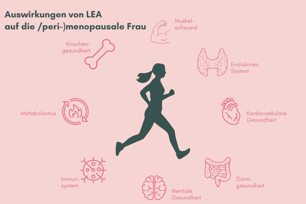 Grafik zu den Auswirkungen von Low Energy Availability (LEA) auf die (peri-)menopausale Frau. In der Mitte ist eine laufende Frau dargestellt, umgeben von Symbolen, die betroffene Bereiche zeigen: Muskelabbau, Knochengesundheit, endokrines System, kardiovaskuläre Gesundheit, Darmgesundheit, mentale Gesundheit, Immunsystem und Stoffwechsel.