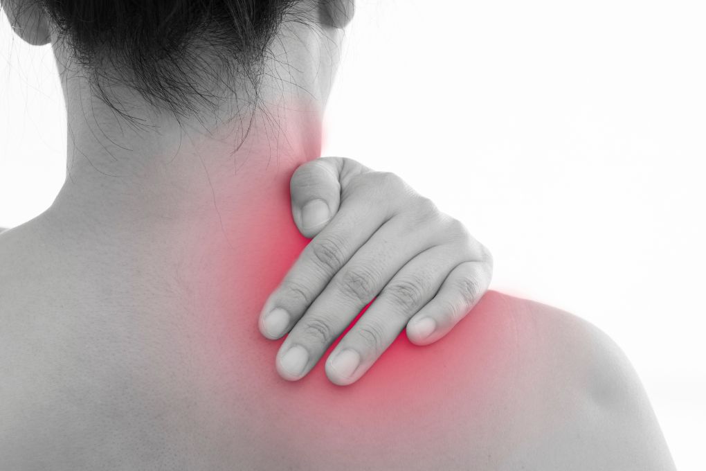 Die muskulär-skelettale Seite der Menopause: Ein unterschätzter Aspekt des Hormonwandels