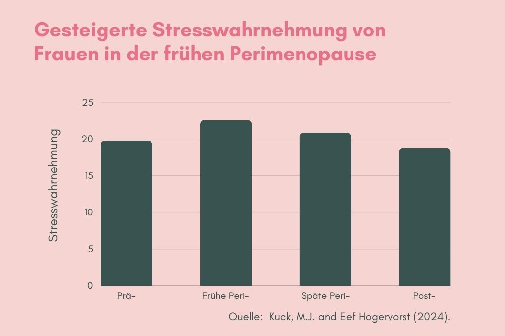 Balkendiagramm, das die gesteigerte Stresswahrnehmung von Frauen in der frühen Perimenopause zeigt, im Vergleich zu prämenopausalen, späten perimenopausalen und postmenopausalen Phasen. Quelle: Kuck, M.J. und Eef Hogervorst (2024). Verknüpft mit Anxiety, hormonellen Veränderungen und Stress in den Wechseljahren.