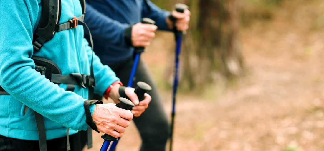 Hikers with walking poles