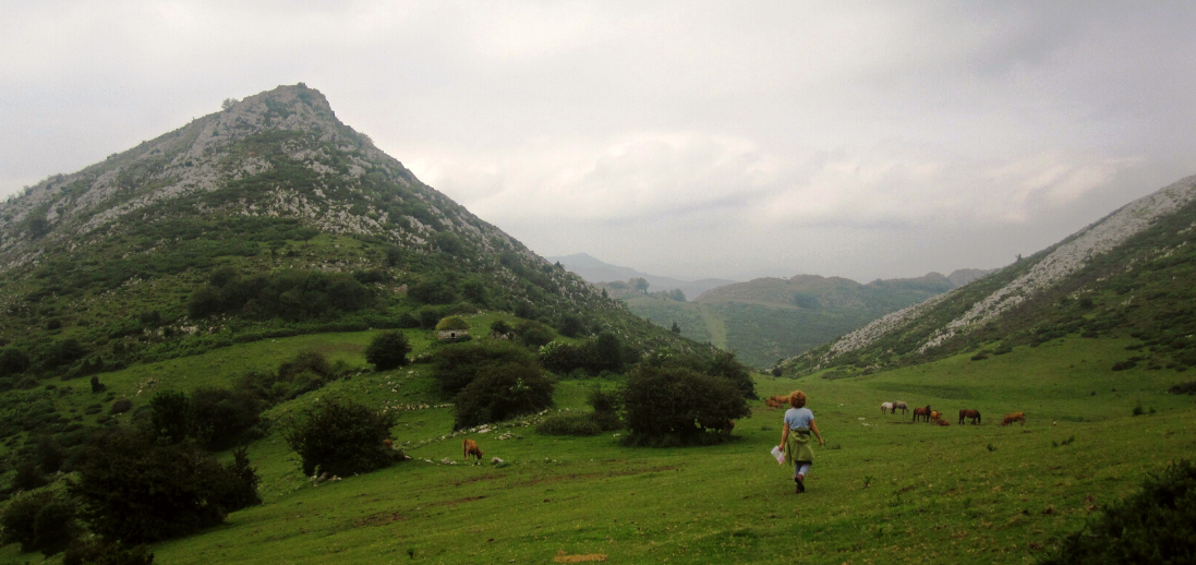 Picos de Europa