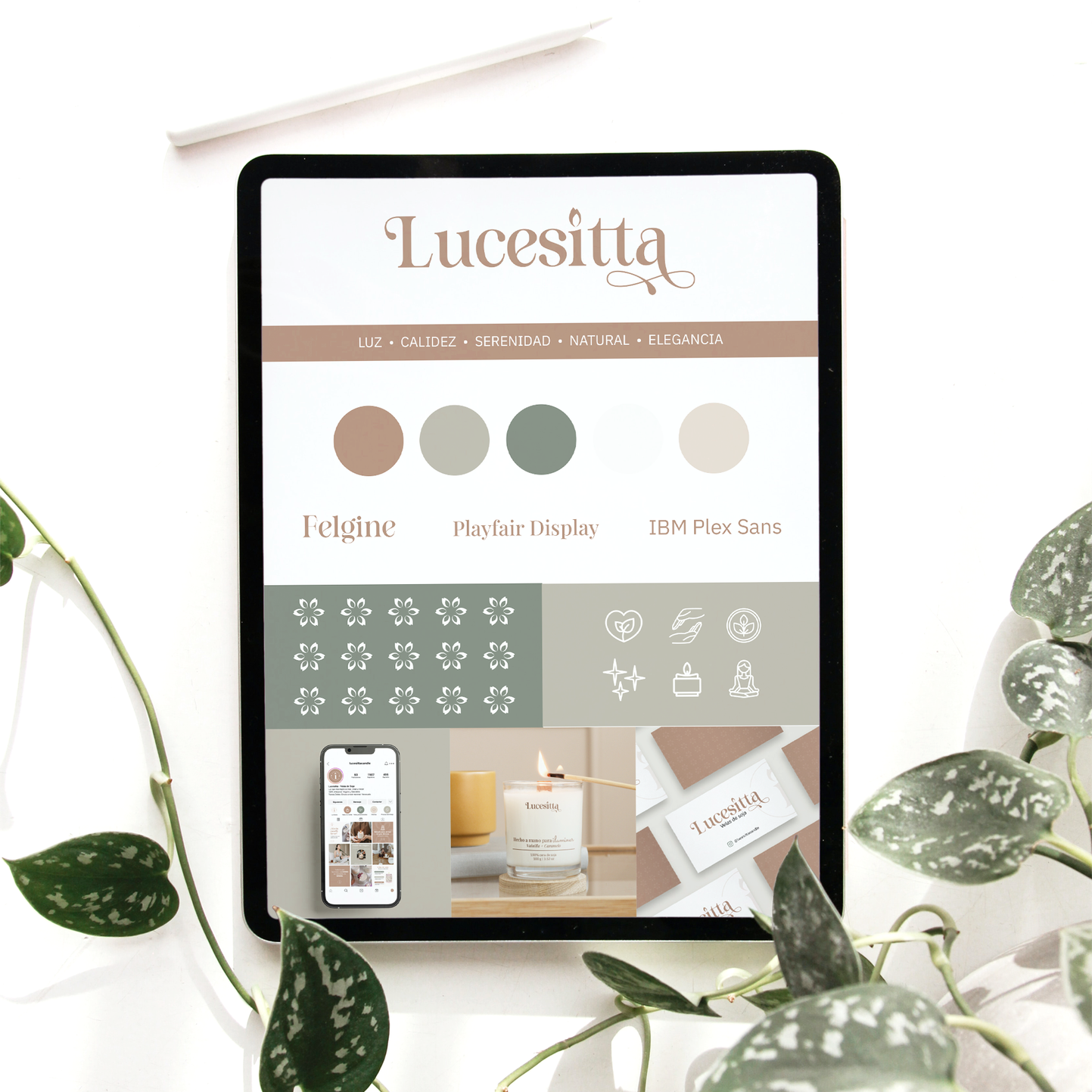 Identidad Visual y Branding