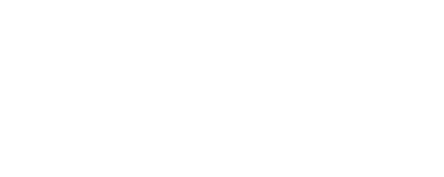 SoneX