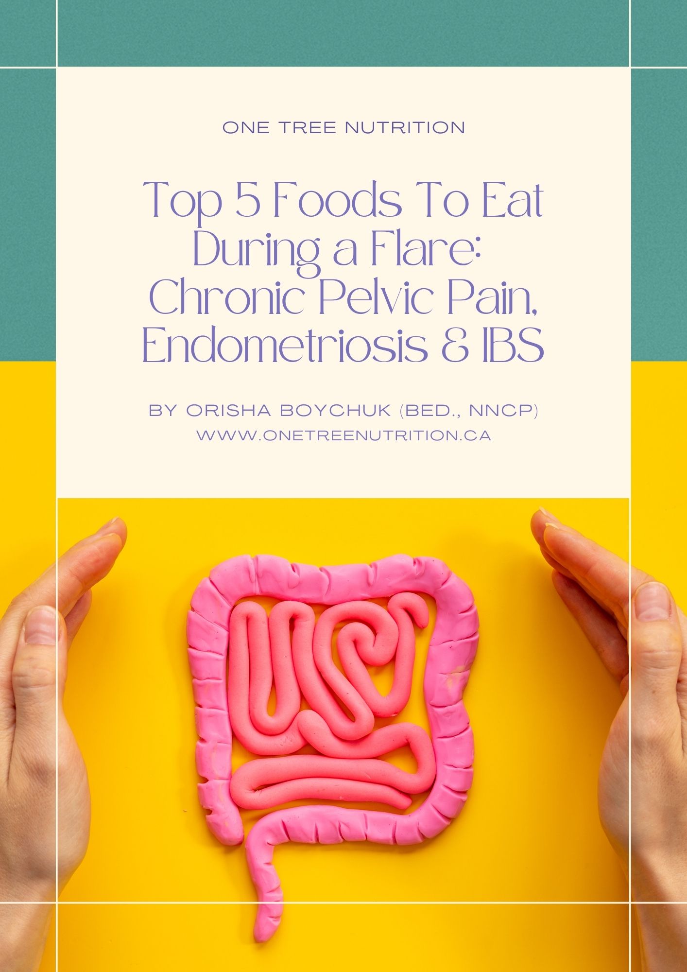 Anti-inflammatory food guide for chronic pelvic pain and endometriosis flare-ups
