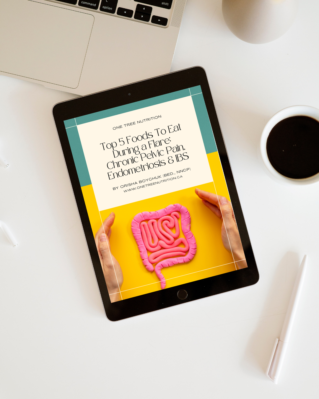 Chronic pelvic pain, endometriosis and IBS anti-inflammatory food guide for flareups