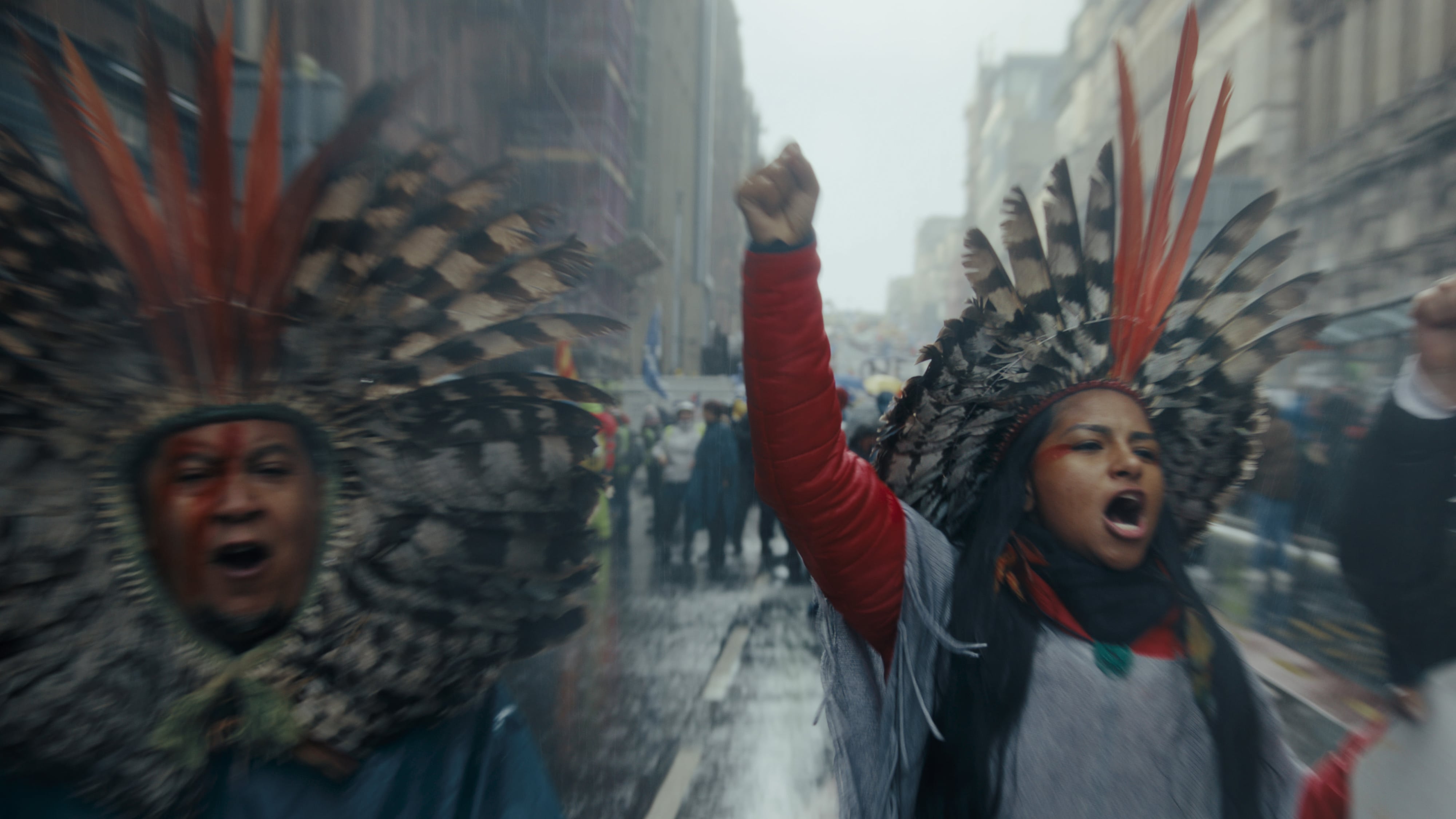 high-angle view of body of gorilla being carried on stretcher made from sticks like pall-bearersa