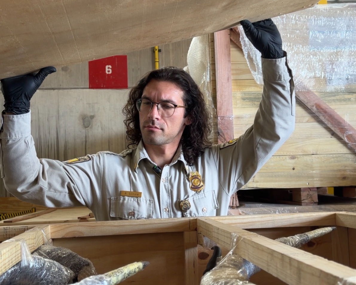 man in uniform looking into large crate