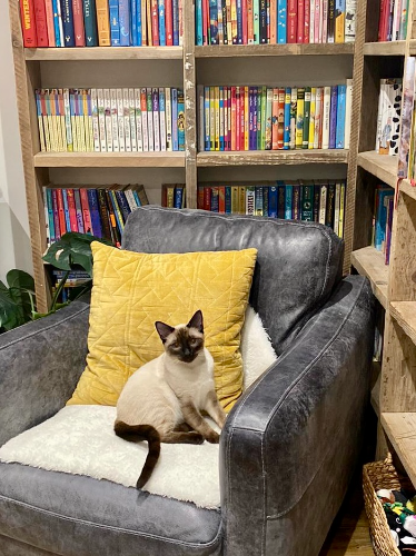 pet sitting Worthing