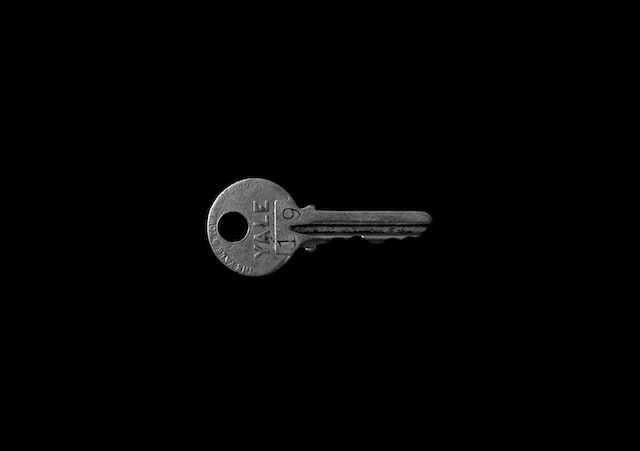 picture of a small key on a dark background