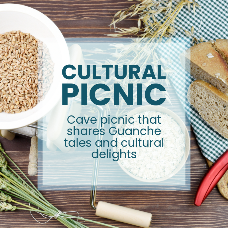 Cultural Picnic